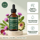 Hepavora